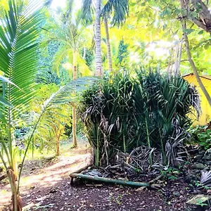 La Familia And Natural Farm Resort